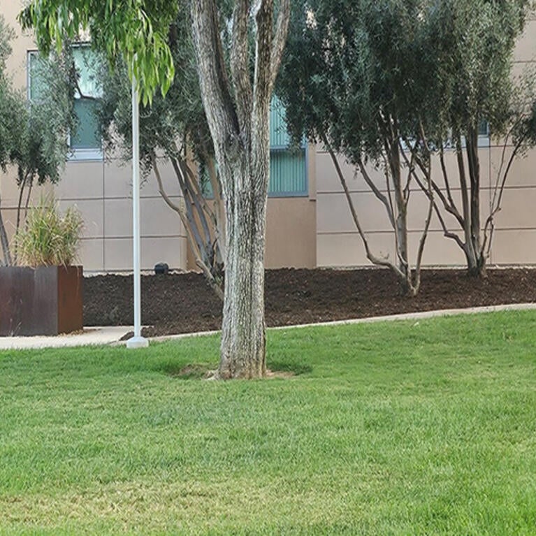 Mulch and landscaping