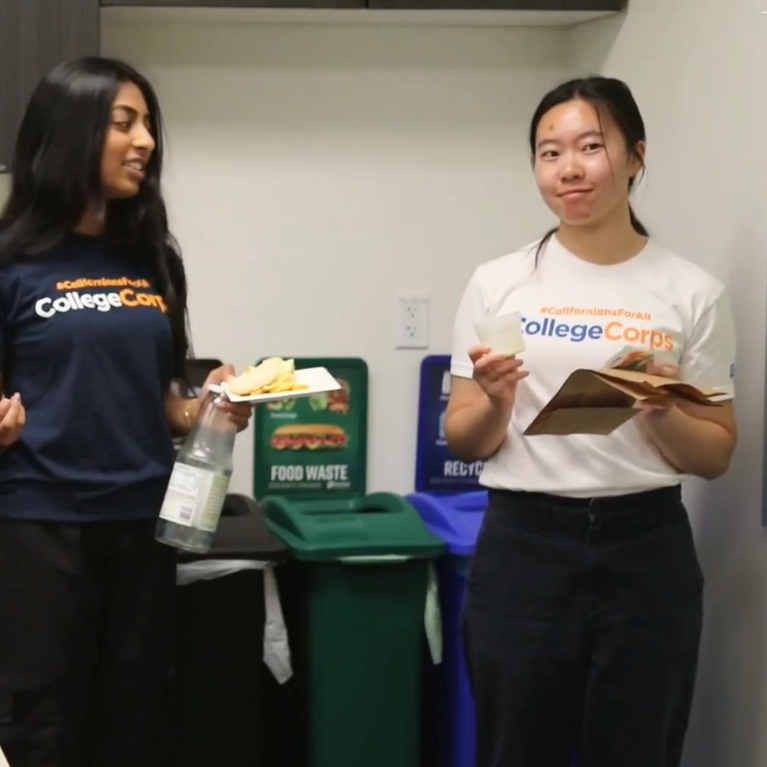 Student fellows sort trash