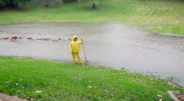 A groundskeeper surveys a rain-soaked field of green grass