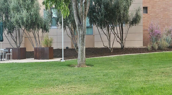 Mulch and landscaping