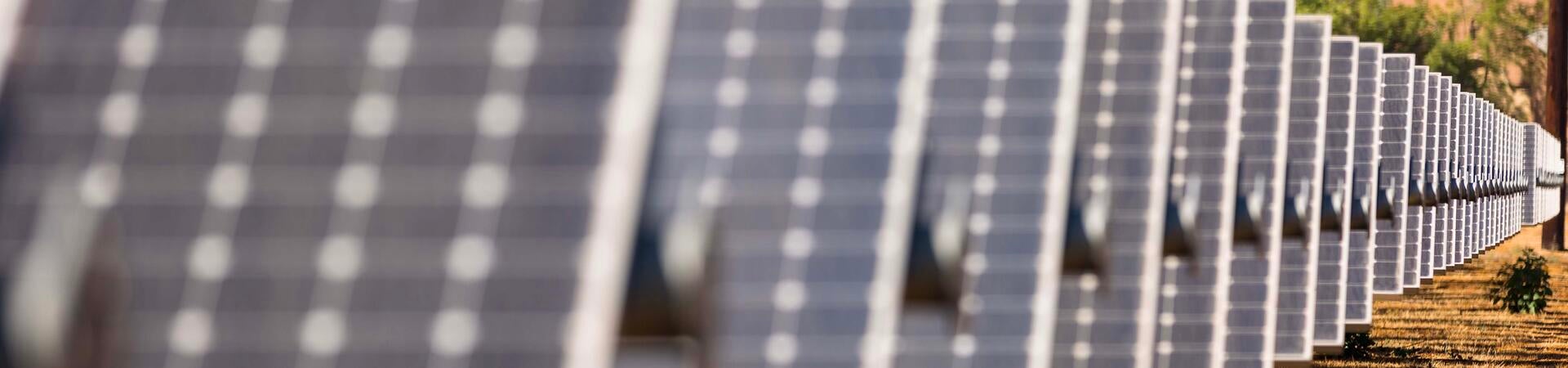 solar farm panels