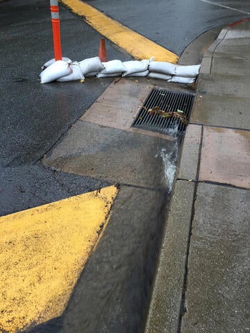 Sandbags line storm drain