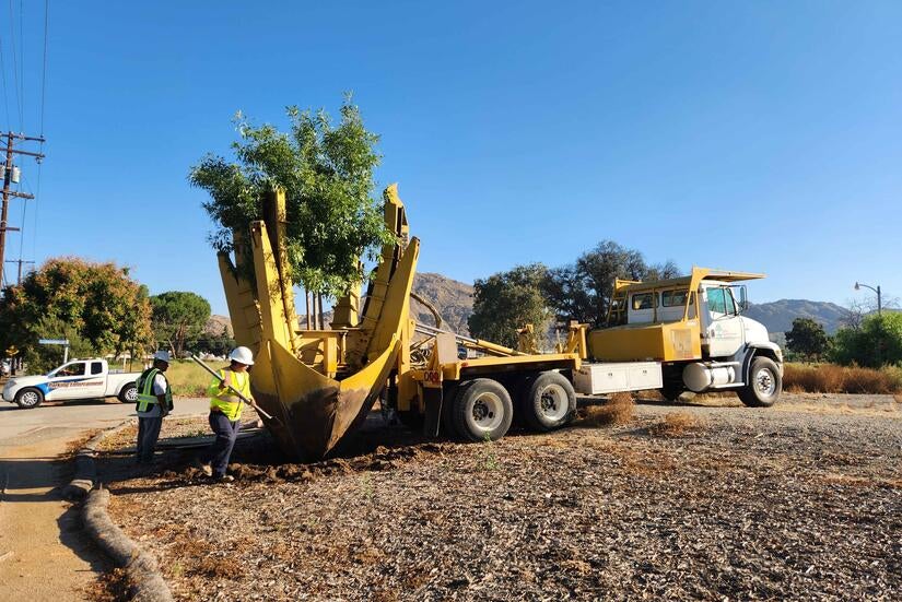 north district tree Specialized vehicle about to haul a tree away from the ground