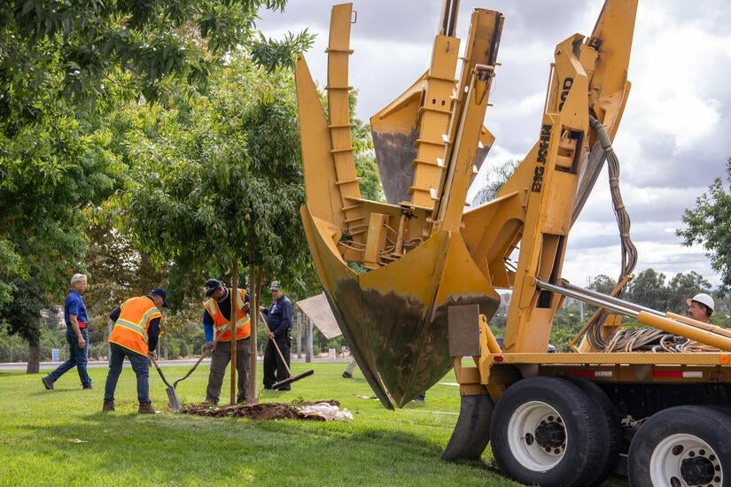 Transplanting tree 2 Two landscapers plant a tree next to equipment